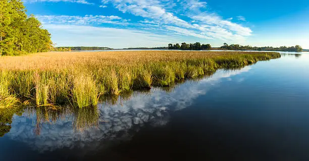 К чему снится Вода черная?