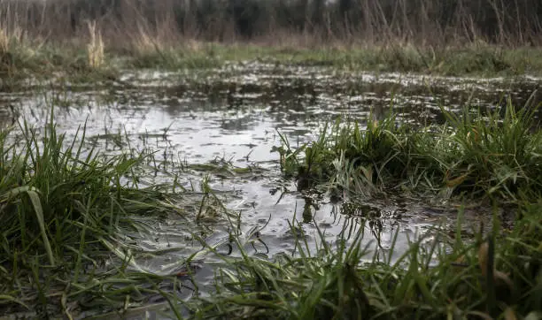 К чему снится Мутная вода?