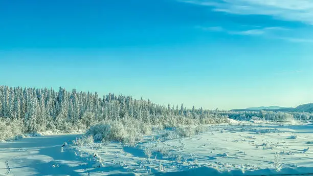 К чему снится Тундра?