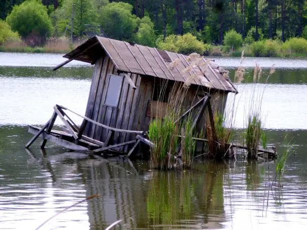 К чему снится Водяной?